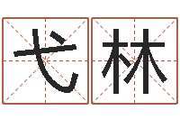 吴弋林怎么样给宝宝起名字-周易在线免费算命