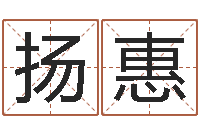 石扬惠华南风水姓名学取名软件命格大全-免费起名网站