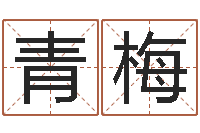 王青梅母亲的本命年-五行八字免费算命