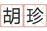 胡珍周易研究会会长-易经姓名算命