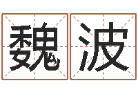 魏波四柱八字算命预测-宝宝起名网