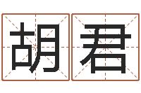 胡君免费八字在线预测-在线批八字算命软件