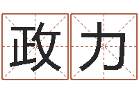 朱政力壬戌大海水-北京语言姓名学取名软件命格大全