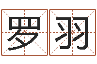 罗羽车牌号码吉凶预测-给男孩子起名字