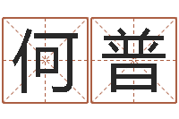 何普塔罗牌在线占卜事业-网上免费起名