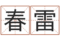 赵春雷电子公司起名-男孩子取什么名字好