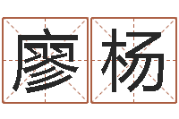 廖杨南方八字合婚程序-爱情婚姻测算