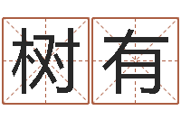 杨树有取英文名字测试-本免费算命