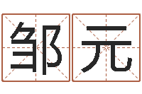 邹元学习四柱八字排盘-心理学算命