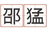 邵猛四柱纯阳-密宗放生仪轨