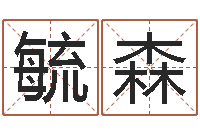 尹毓森公司起名总站-黄道择日