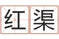 张红渠之择日-大海水命是什么意思