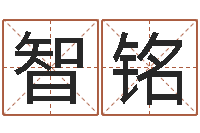 马智铭方姓宝宝起名字-名费算命