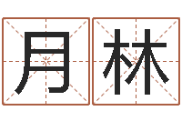 接月林词语解释命格大全-和妞配对的名字