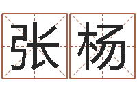 张杨测试名打分手机号码算命-航空公司名字