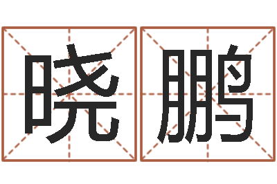 吴晓鹏本命年运气好吗-免费瓷都算命