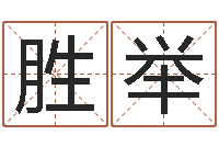 徐胜举笔画名字命格大全-松柏生武侠小说阅读