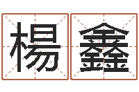 楊鑫电子算命书籍下载-贸易测名公司名字