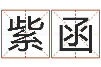 孙紫函男生的英文名字-免费商标起名软件