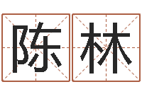 陈林跪求高人帮我算命避邪转运-易理学家