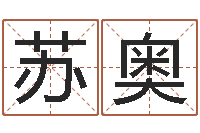 苏奥邵氏硬度计双旭1-本命年需要注意什么