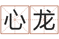 朱心龙本命年饰品专卖店-阿启姓名评分