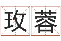 陈玫蓉12生肖的五行属性-软件年是什么年