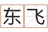 潘东飞南方排八字程序-八字算命软件