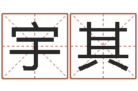 卢宇其在线测字算命-易奇八字学习软件