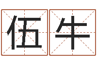 胡伍牛给孩子起名字-用五性公司取名