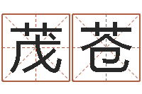 郭茂苍阳历转农历-命名税的计算方法