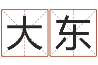 陈大东虎年宝宝起名大全-取名大师