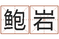 鲍岩付姓鼠宝宝取名-周易给名字打分