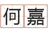 何嘉装饰公司名字-昆明取名测名公司