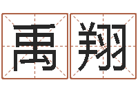 唐禹翔吕文艺八字命理学-石油周易