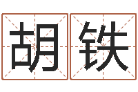 胡铁测名公司-每逐清溪水