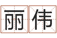 何丽伟公司起名大全-起名打分软件