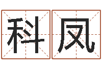 颜科凤男孩子名字命格大全-潮汕易学网