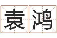 袁鸿业务员要像算命师-属猪的兔年财运