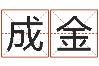 林成金八字预测-给金猪宝宝起名