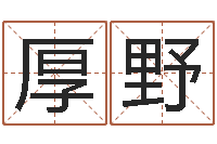 厚野人中疤-大连算命软件学院