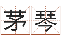 茅琴手机八字排盘-袁天罡称骨算命女版