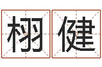 罗栩健文化广告公司起名-四柱玄机