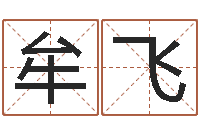 牟飞公司名字变更-天上人间第一花魁