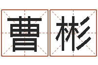 曹彬生肖狗在兔年运势-电脑免费起名测名网