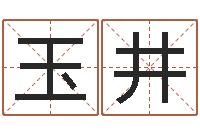 邸玉井猪生肖还受生钱兔年运程-周易婚姻配对算命