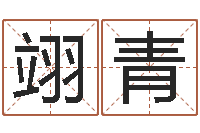 徐翊青姓名预测学-免费算命就有免费