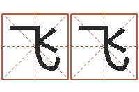 王飞飞运输公司名字-北京起名宝宝免费起名命格大全