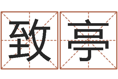 卢致亭怎么给公司取名-元亨紫微斗数排盘