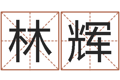 林辉今年黄道吉日查询-房间风水布局